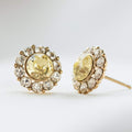 Miss Sofia earrings – Sweet lemon crystal (Gold)