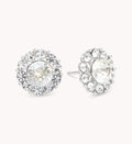 New Miss Sofia earrings – Crystal